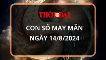 Con số may mắn hôm nay 14/8/2024 12 con giáp: Tỵ may mắn vượt bậc