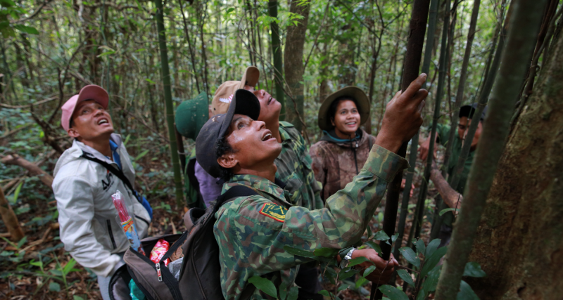 WWF hỗ trợ tỉnh Quảng Trị đẩy mạnh chuỗi cung ứng Mây bền vững