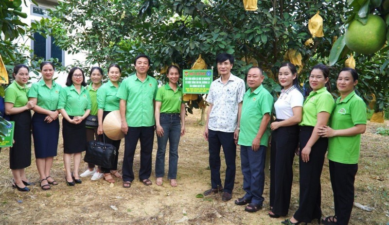 Lễ ra mắt thí điểm mô hình “Cây bảo hiểm xã hội tự nguyện, bảo hiểm y tế” 