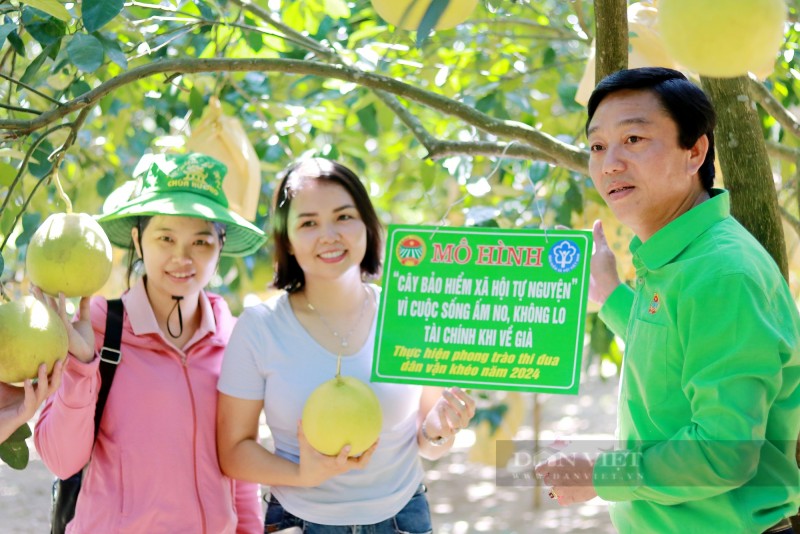 Hương Khê (Hà Tĩnh): Độc đáo mô hình “Cây bảo hiểm xã hội tự nguyện”