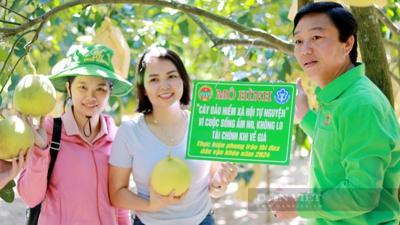 Hương Khê (Hà Tĩnh): Độc đáo mô hình “Cây bảo hiểm xã hội tự nguyện”