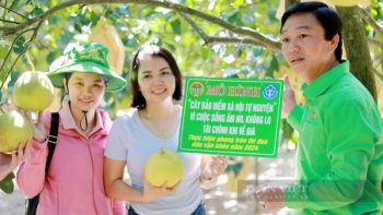 huong khe ha tinh doc dao mo hinh cay bao hiem xa hoi tu nguyen