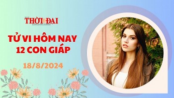 Tử vi hôm nay 12 con giáp 18/8/2024: Tý tài chính không ổn định