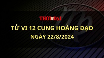 tu vi hom nay 12 cung hoang dao 2282024 song tu dua ra nhung quyet dinh theo cam tinh