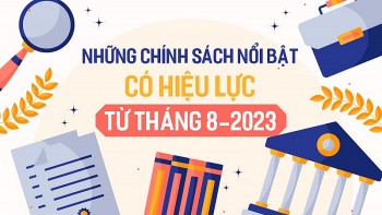 chinh sach moi co hieu luc tu giua thang 82024