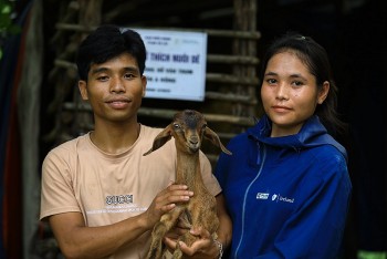 Quảng Trị: Cải thiện sinh kế cho hộ nghèo nhờ mô hình chăn nuôi dê