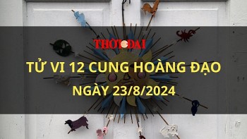 tu vi hom nay 12 cung hoang dao 2382024 kim nguu khong bi khuat phuc truoc moi kho khan