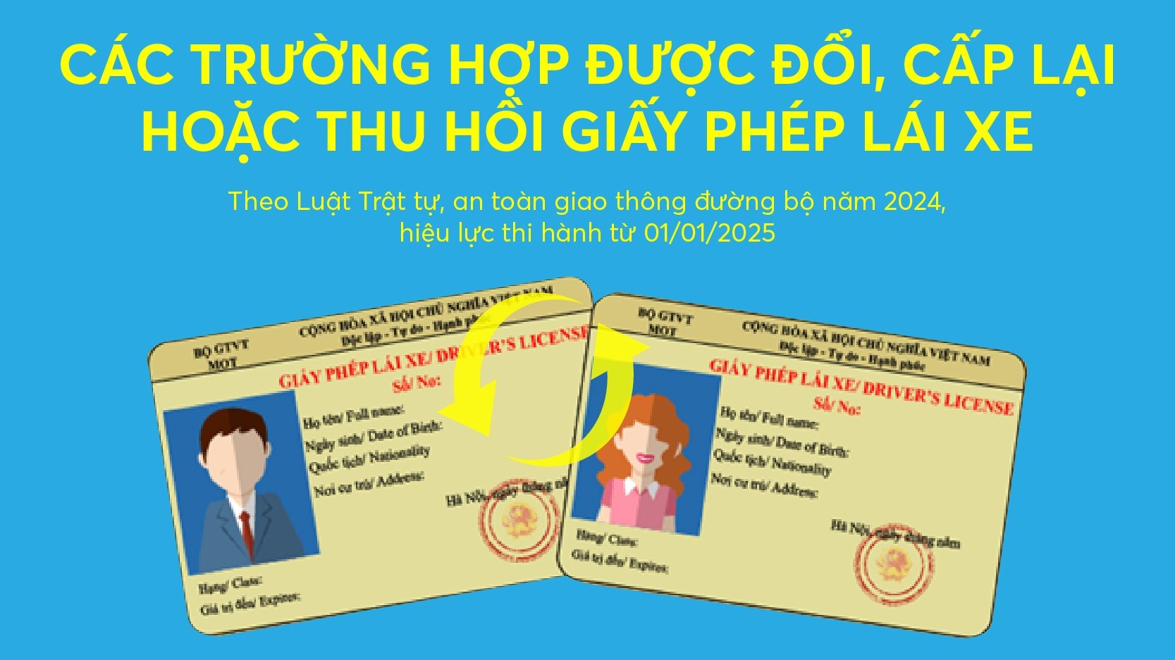 infographics cac truong hop duoc doi cap lai hoac thu hoi giay phep lai xe tu 112025