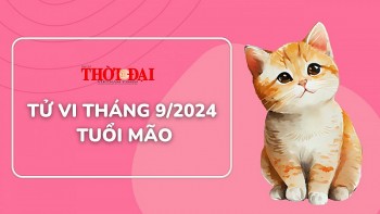 Tử vi tuổi Mão tháng 9/2024: Tiền bạc đều có nhiều khởi sắc, tăng trưởng rộn ràng