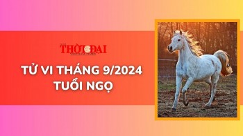 Tử vi tuổi Ngọ tháng 9/2024: Tài chính xuống dốc trầm trọng