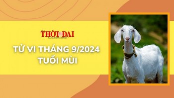 Tử vi tuổi Mùi tháng 9/2024: Tài chính ảm đạm, nhiều kế hoạch không như dự kiến