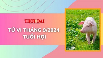 Tử vi tuổi Hợi tháng 9/2024: Thuận lợi trăm bề, tài lộc kéo về cửa