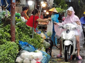 Bão Yagi đổ bộ, người dân cần làm gì để đảm bảo an toàn?