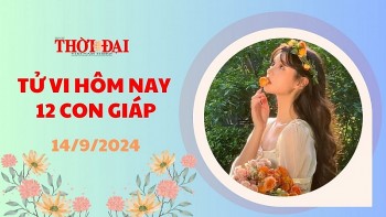 Tử vi hôm nay 12 con giáp 14/9/2024: Cát thần che chở cho vận trình tài lộc của tuổi Ngọ