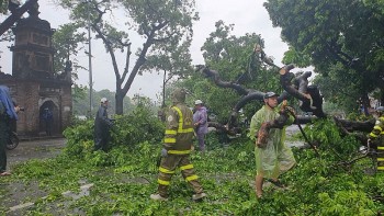 Khẩn trương thu dọn vệ sinh, trồng lại cây xanh nghiêng đổ