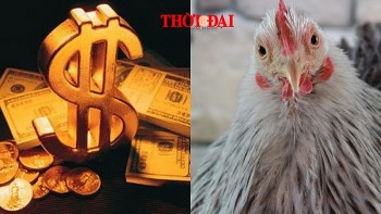 con giap may man hom nay 1592024 dau nhan tin vui ve tien bac