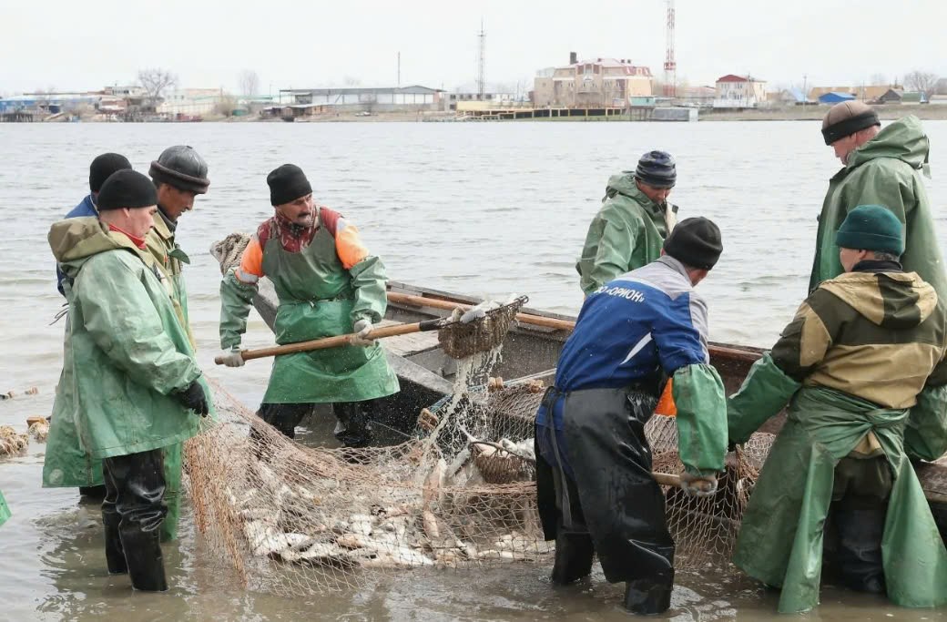 Các ngư dân vùng Astrakhan đánh bắt cá. (Ảnh: dzen.ru)