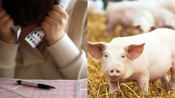 Top con giáp xui xẻo tuần này (16-22/9/2024): Làm ăn thất bát, tình cảm đi xuống
