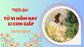 Tử vi hôm nay 12 con giáp 20/9/2024: Tỵ được lộc từ công việc