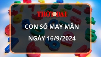 Con số may mắn hôm nay 16/9/2024 12 con giáp: Hợi phát tài phát lộc