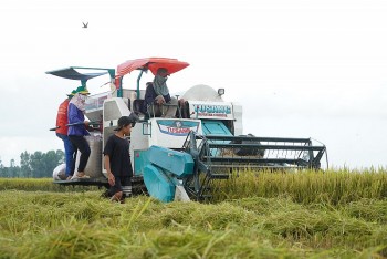 Nông thôn mới tại Hậu Giang: Đổi thay diệu kỳ từ chính sách phát triển bền vững