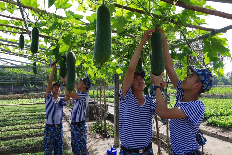 Vùng 3 Hải quân: Đổi mới công tác thi đua khen thưởng và phong trào thi đua quyết thắng