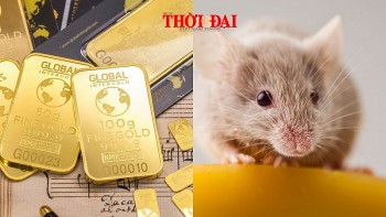 Top con giáp may mắn hôm nay 24/9/2024: Sự nghiệp phát triển tiền đồ đi lên