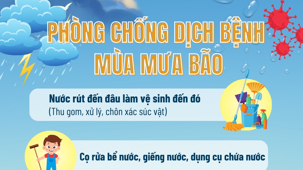 inforgraphics phong chong dich benh mua mua bao