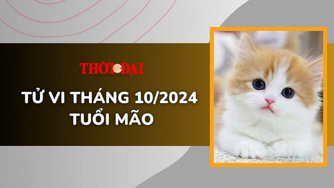 Tử vi tuổi Mão tháng 10/2024: Dễ gặp trở ngại, vất vả trong công việc