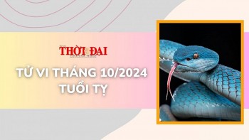 tu vi tuoi ty thang 102024 cong viec bap benh tien tai tut doc