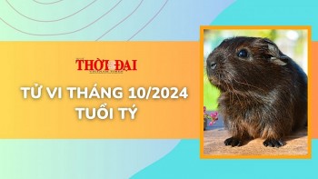 tu vi tuoi ty thang 102024 su nghiep hanh thong tinh cam vuong van