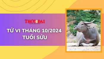 Tử vi tuổi Sửu tháng 10/2024: Vận trình lên xuống thất thường