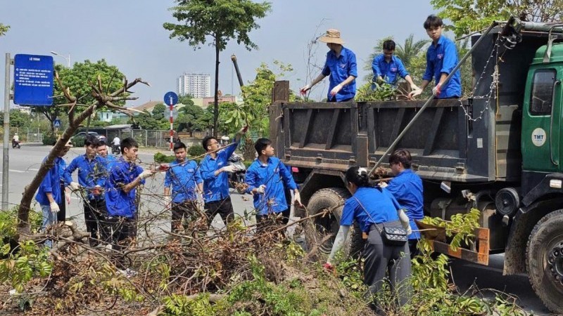 Hà Nội có hơn 100.000 cây xanh bị gãy, đổ do bão số 3