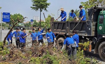 Hà Nội có hơn 100.000 cây xanh bị gãy, đổ do bão số 3