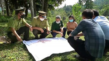 them 24 cong dong dan cu o nghe an duoc huong loi nguon thu tu erpa