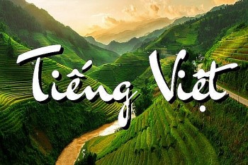 ton vinh tieng viet trong cong dong nguoi viet nam o nuoc ngoai