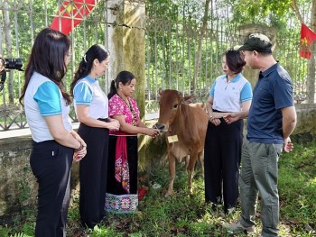 trao sinh ke cho 30 ho ngheo can ngheo moi thoat ngheo o huyen mien nui nghe an