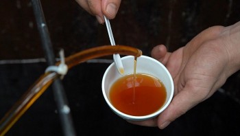 Nước mắm, mắm nêm lọt top 100 loại nước chấm ngon nhất thế giới