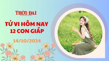 Tử vi hôm nay 12 con giáp 14/10/2024: Thân tiến triển vượt ngoài mong đợi