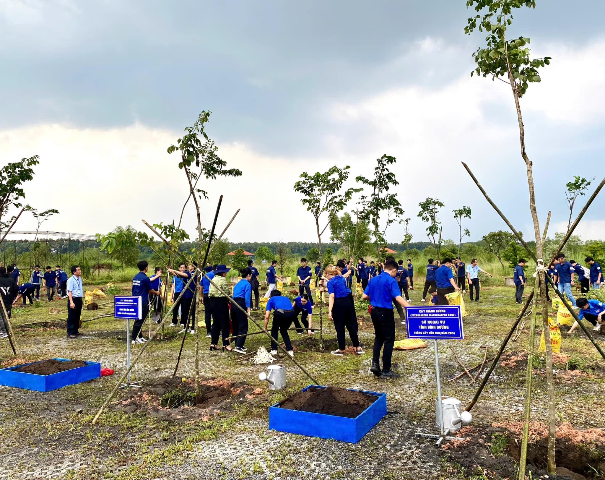 70 cây xanh đã được trồng trong khuôn viên Trường Đại học Thủ Dầu Một. (Ảnh: cgihcmc.gov.in)