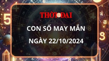 Con số may mắn hôm nay 22/10/2024 12 con giáp: Hợi thần tài gõ cửa, tài lộc ập đến bất ngờ