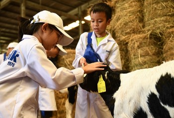 Học sinh thích thú khám phá trang trại, nhà máy “xanh” sản xuất ra hộp sữa Vinamilk