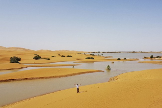 Sa mạc Sahara biến đổi kỳ thú sau trận mưa bất thường