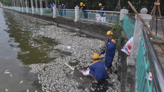 Đề xuất đánh tỉa cá nguy hại nhằm cân bằng sinh thái ở hồ Tây