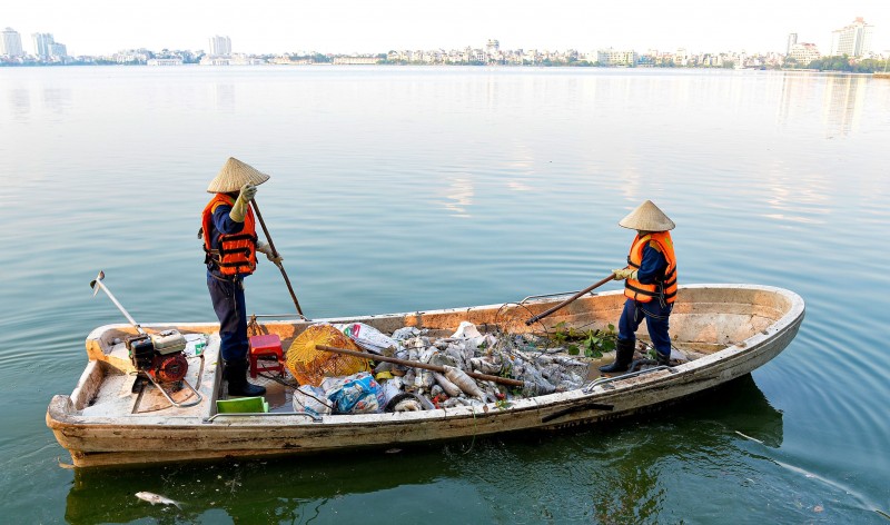 Công nhân vớt cá chết ở hồ Tây (Ảnh: T.L).