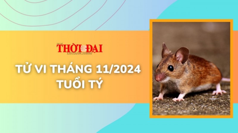 Tử vi tháng 11/2024 tuổi Tý: Rắc rối triền miên