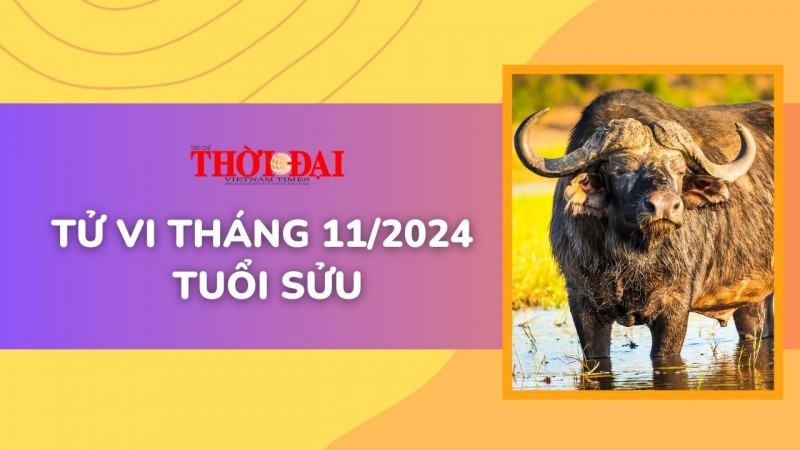 Tử vi tháng 11/2024 tuổi Sửu: Suôn sẻ từ công việc đến tình duyên