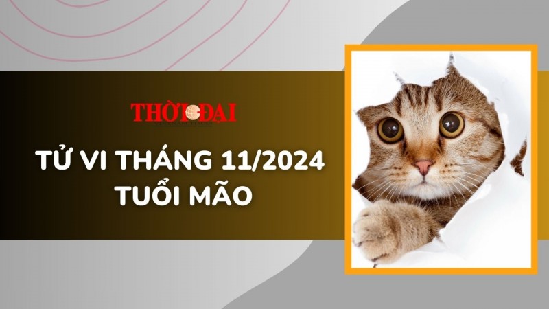 Tử vi tháng 11/2024 tuổi Mão: Hung cát đan xen, hành sự cần cẩn thận