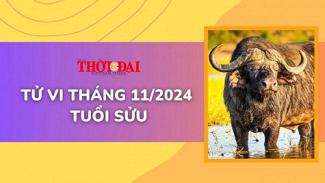 Tử vi tháng 11/2024 tuổi Sửu: Suôn sẻ từ công việc đến tình duyên