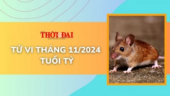 tu vi thang 112024 tuoi ty rac roi trien mien